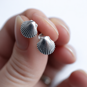 Sterling Silver Shell Stud Earrings - 925 Sterling Silver - JewelleryByZM 