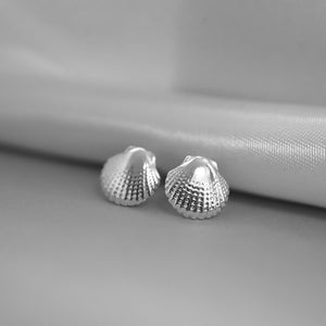 Sterling Silver Shell Stud Earrings - 925 Sterling Silver - JewelleryByZM 