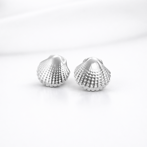 Sterling Silver Shell Stud Earrings - 925 Sterling Silver - JewelleryByZM 