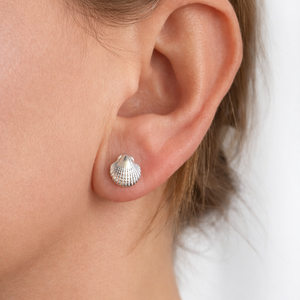 Sterling Silver Shell Stud Earrings - 925 Sterling Silver - JewelleryByZM 